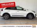 Kia Niro 1.6 gdi phev evolution dct Bianco - thumbnail 6