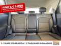 Kia Niro 1.6 gdi phev evolution dct Bianco - thumbnail 10