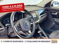 Kia Niro 1.6 gdi phev evolution dct Bianco - thumbnail 19