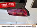 Kia Niro 1.6 gdi phev evolution dct Bianco - thumbnail 17