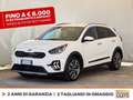 Kia Niro 1.6 gdi phev evolution dct Bianco - thumbnail 1