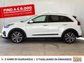 Kia Niro 1.6 gdi phev evolution dct Bianco - thumbnail 4