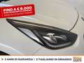 Kia Niro 1.6 gdi phev evolution dct Bianco - thumbnail 14