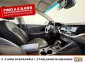 Kia Niro 1.6 gdi phev evolution dct Bianco - thumbnail 7