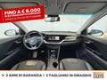 Kia Niro 1.6 gdi phev evolution dct Bianco - thumbnail 11