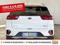 Kia Niro 1.6 gdi phev evolution dct Bianco - thumbnail 5