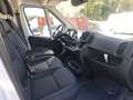 Fiat Ducato Ducato Maxi 35 | L4H3 140 MT | Sofort Alb - thumbnail 9