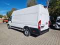 Fiat Ducato Ducato Maxi 35 | L4H3 140 MT | Sofort Alb - thumbnail 3