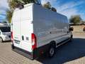 Fiat Ducato Ducato Maxi 35 | L4H3 140 MT | Sofort Alb - thumbnail 5