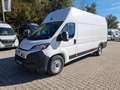 Fiat Ducato Ducato Maxi 35 | L4H3 140 MT | Sofort Alb - thumbnail 1