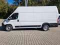 Fiat Ducato Ducato Maxi 35 | L4H3 140 MT | Sofort Alb - thumbnail 2