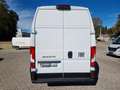 Fiat Ducato Ducato Maxi 35 | L4H3 140 MT | Sofort Alb - thumbnail 4