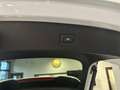 Audi Q5 Sportback 40 2.0 tdi S-line quattro s-tronic pano Bianco - thumbnail 13
