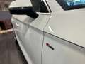 Audi Q5 Sportback 40 2.0 tdi S-line quattro s-tronic pano Bianco - thumbnail 5
