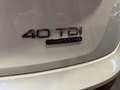 Audi Q5 Sportback 40 2.0 tdi S-line quattro s-tronic pano Bianco - thumbnail 11