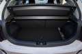 Kia Picanto 1.0   20th Anniversary Edition GPL Bianco - thumbnail 10