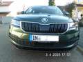 Skoda Karoq Karoq 1.6 TDI SCR DSG Ambition Grün - thumbnail 5