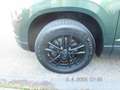 Skoda Karoq Karoq 1.6 TDI SCR DSG Ambition Grün - thumbnail 15