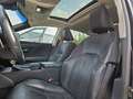 Lexus ES 300 Hybrid Luxury Blue - thumbnail 9