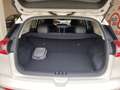 Kia Niro 1.6 GDi DCT PHEV Energy Wit - thumbnail 19