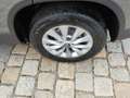 Skoda Karoq 130 Jahre Edition 1.5 TSI 150 PS DSG -Keyless-A... Grau - thumbnail 8