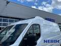 Renault Master L3H2 KOELWAGEN BPM VRIJ! Alb - thumbnail 8