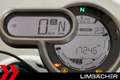 Ducati Scrambler 1100 - MIVV-Auspuff Gelb - thumbnail 12