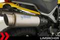 Ducati Scrambler 1100 - MIVV-Auspuff Gelb - thumbnail 16