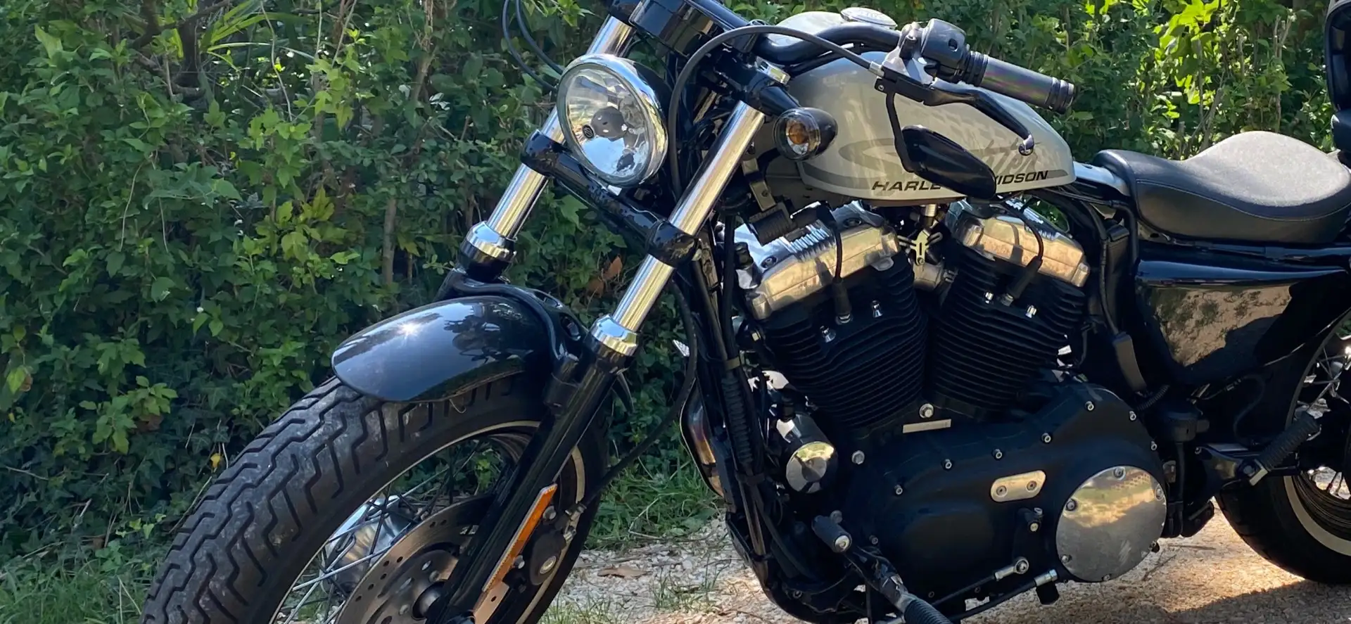 Harley-Davidson Sportster 1200 fortyeight 48 Nero - 2