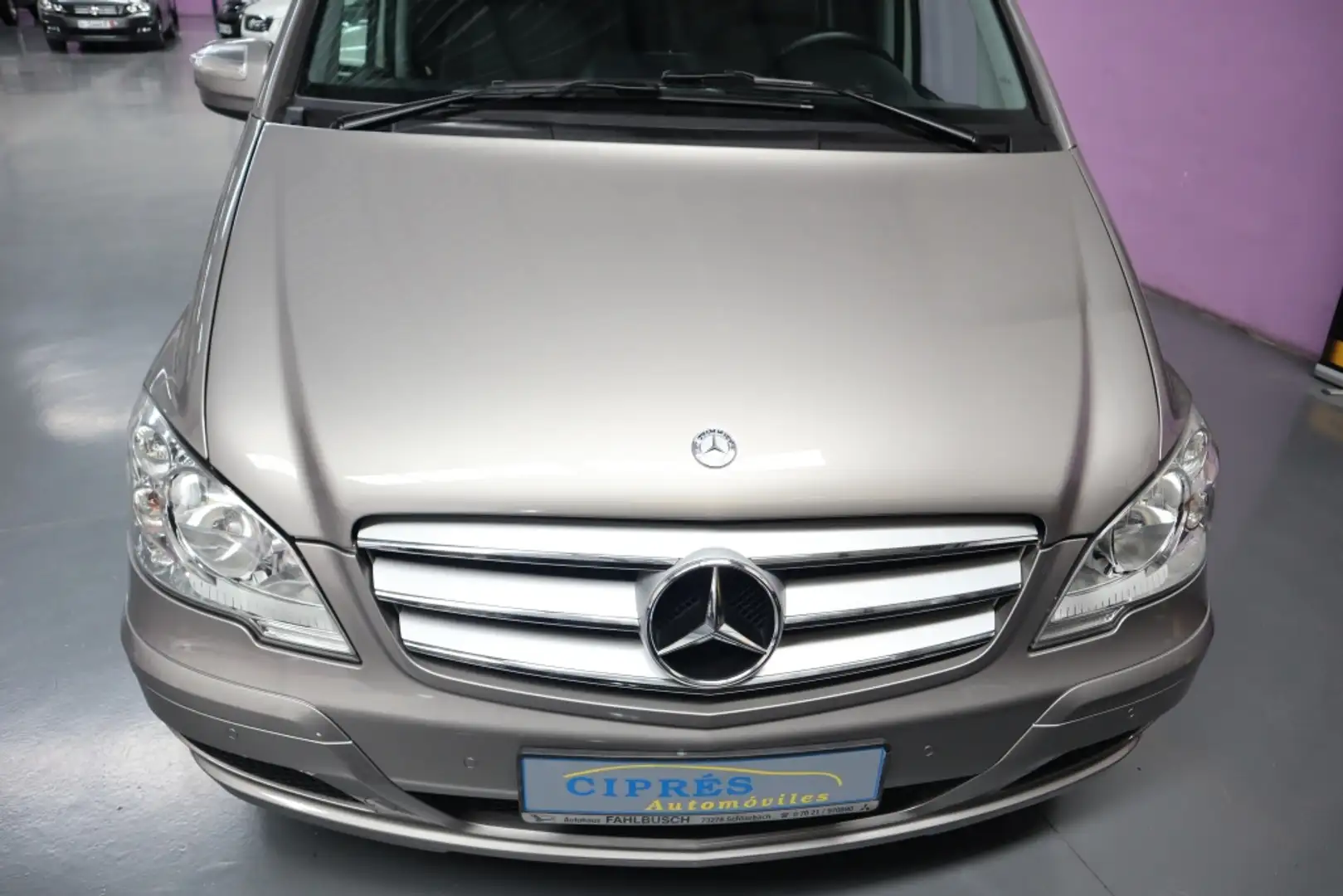 Mercedes-Benz Viano 3.0CDI Trend Largo Aut. Gris - 2