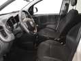 Fiat Panda 1.0 70CV Cross Hybrid Blanco - thumbnail 13