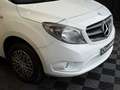Mercedes-Benz Citan Tourer 109CDI Plus Gris - thumbnail 6