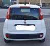 Fiat Panda Panda III 2012 1.3 mjt 16v Easy s Bianco - thumbnail 7
