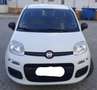 Fiat Panda Panda III 2012 1.3 mjt 16v Easy s Bianco - thumbnail 5