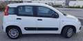 Fiat Panda Panda III 2012 1.3 mjt 16v Easy s Bianco - thumbnail 6