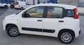 Fiat Panda Panda III 2012 1.3 mjt 16v Easy s Bianco - thumbnail 8