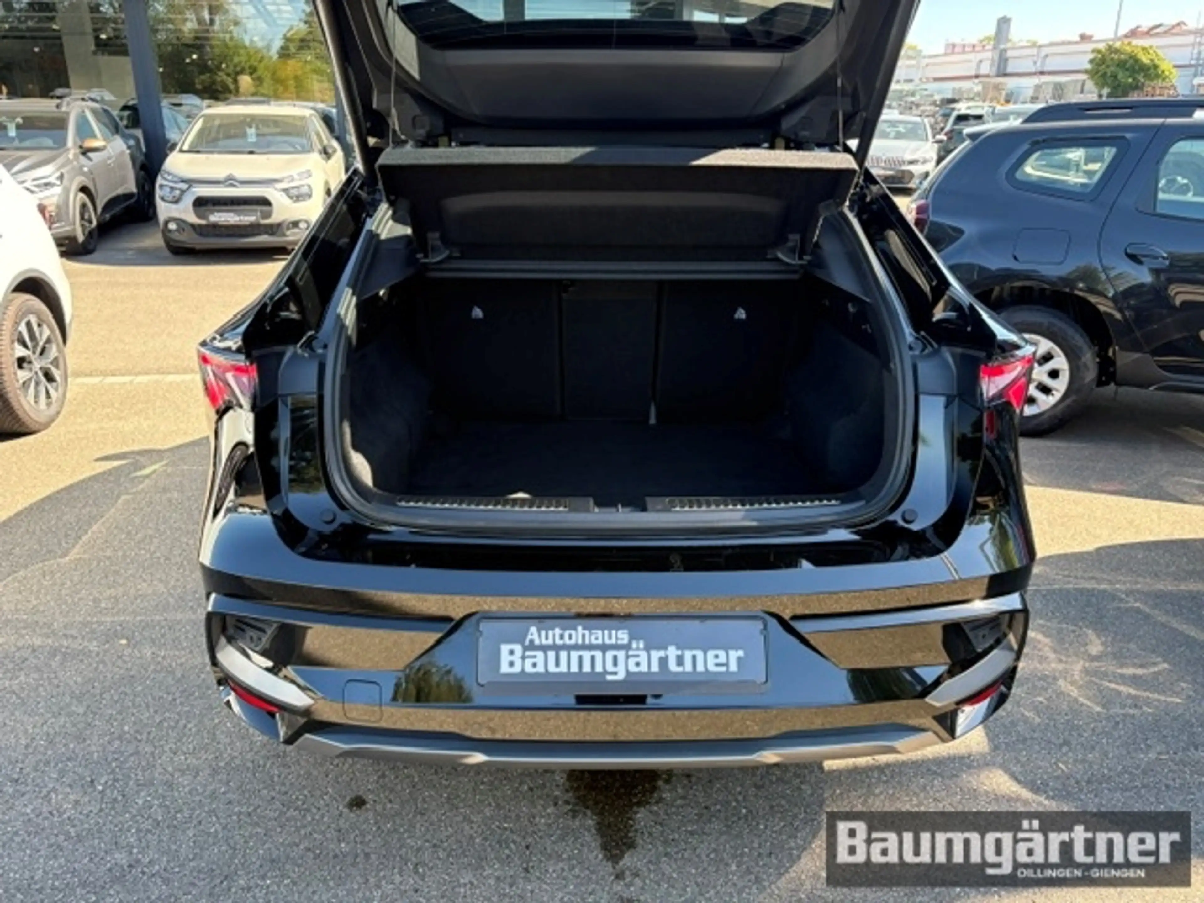 Renault Rafale Esprit Alpine E-TECH Hybrid 300 4x4 Pano — photo 12