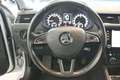 Skoda Octavia Combi  Ambition 1.6 TDI Silber - thumbnail 18