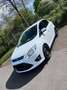 Ford C-Max 1.0 EcoBoost Start-Stopp-System Trend Weiß - thumbnail 1