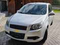 Chevrolet Aveo Aveo 1,2 LS LS Grau - thumbnail 9