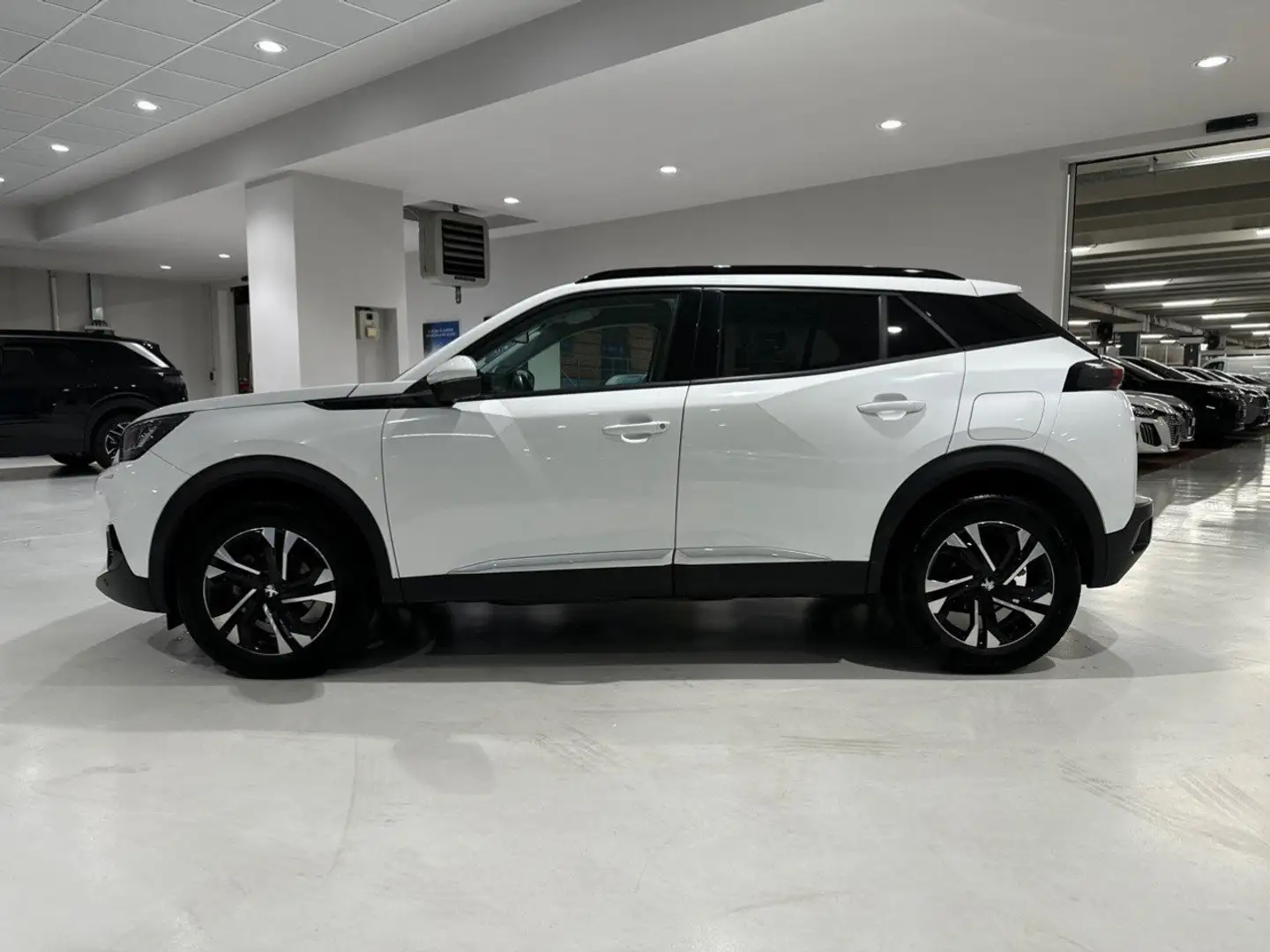 Peugeot 2008 PureTech 100 Allure S/S Bianco - 2