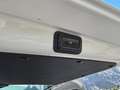Volkswagen T6 Multivan T6 t6 multivan 4 motion Bianco - thumbnail 10