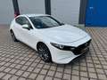 Mazda 3 Lim. 5-trg. Selection*BOSE*360 KAMERA* Weiß - thumbnail 7