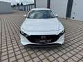 Mazda 3 Lim. 5-trg. Selection*BOSE*360 KAMERA* Weiß - thumbnail 8