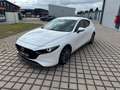 Mazda 3 Lim. 5-trg. Selection*BOSE*360 KAMERA* Weiß - thumbnail 1
