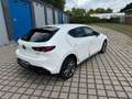 Mazda 3 Lim. 5-trg. Selection*BOSE*360 KAMERA* Weiß - thumbnail 5