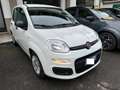 Fiat Panda 1.0 firefly hybrid S&S Bianco - thumbnail 1
