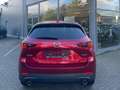 Mazda CX-5 Ad'vantage 2WD HEAD-UP-DISPLAY * 360KAMERA* Rouge - thumbnail 5