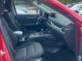 Mazda CX-5 Ad'vantage 2WD HEAD-UP-DISPLAY * 360KAMERA* Rouge - thumbnail 14