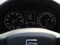 SEAT Ibiza 1.0 TSI Xcellence DSG NAVI BEATS LED PD Schwarz - thumbnail 14